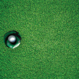 A Hole in One Puzzle