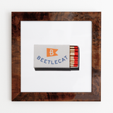 Beetlecat