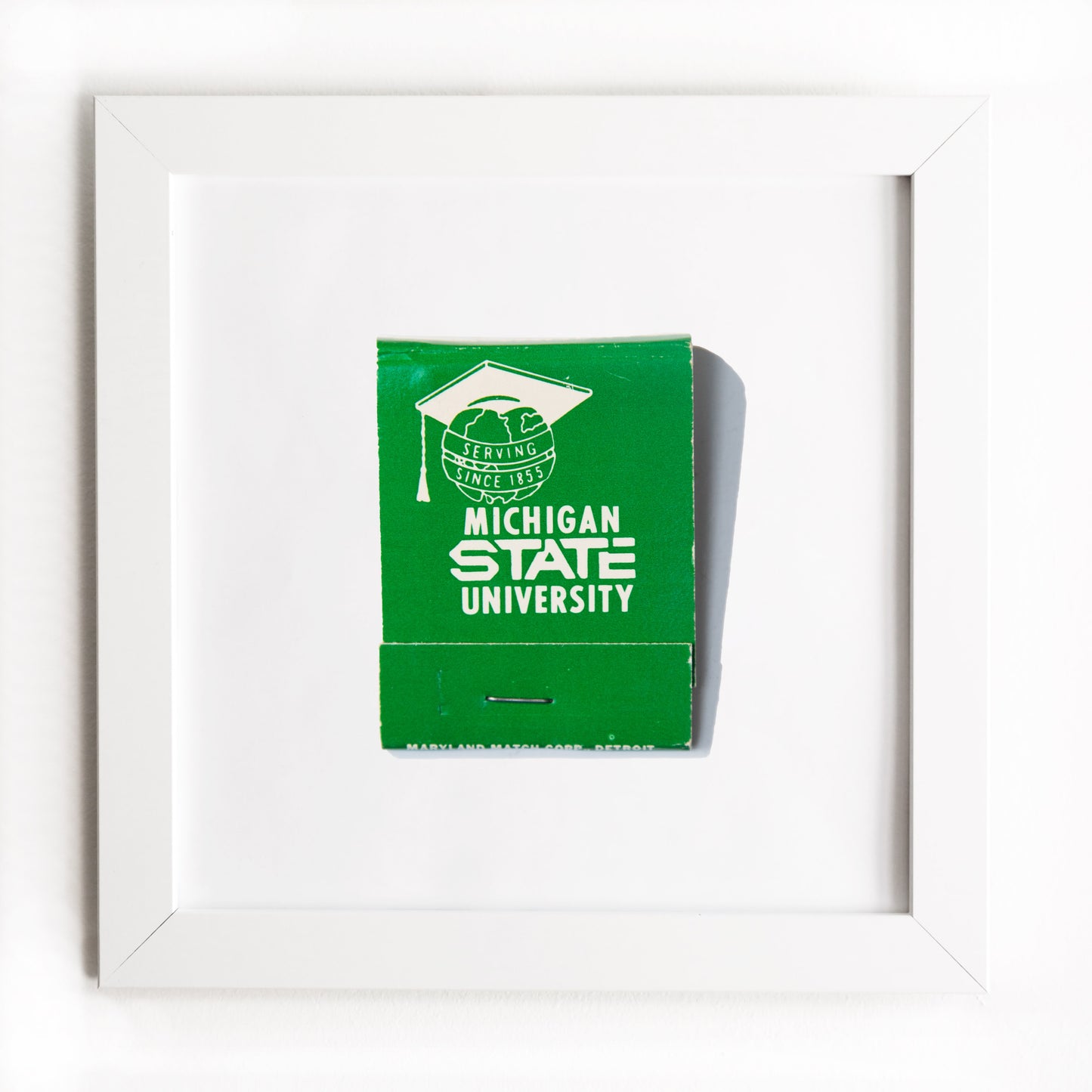 Michigan State University