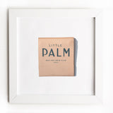 Little Palm