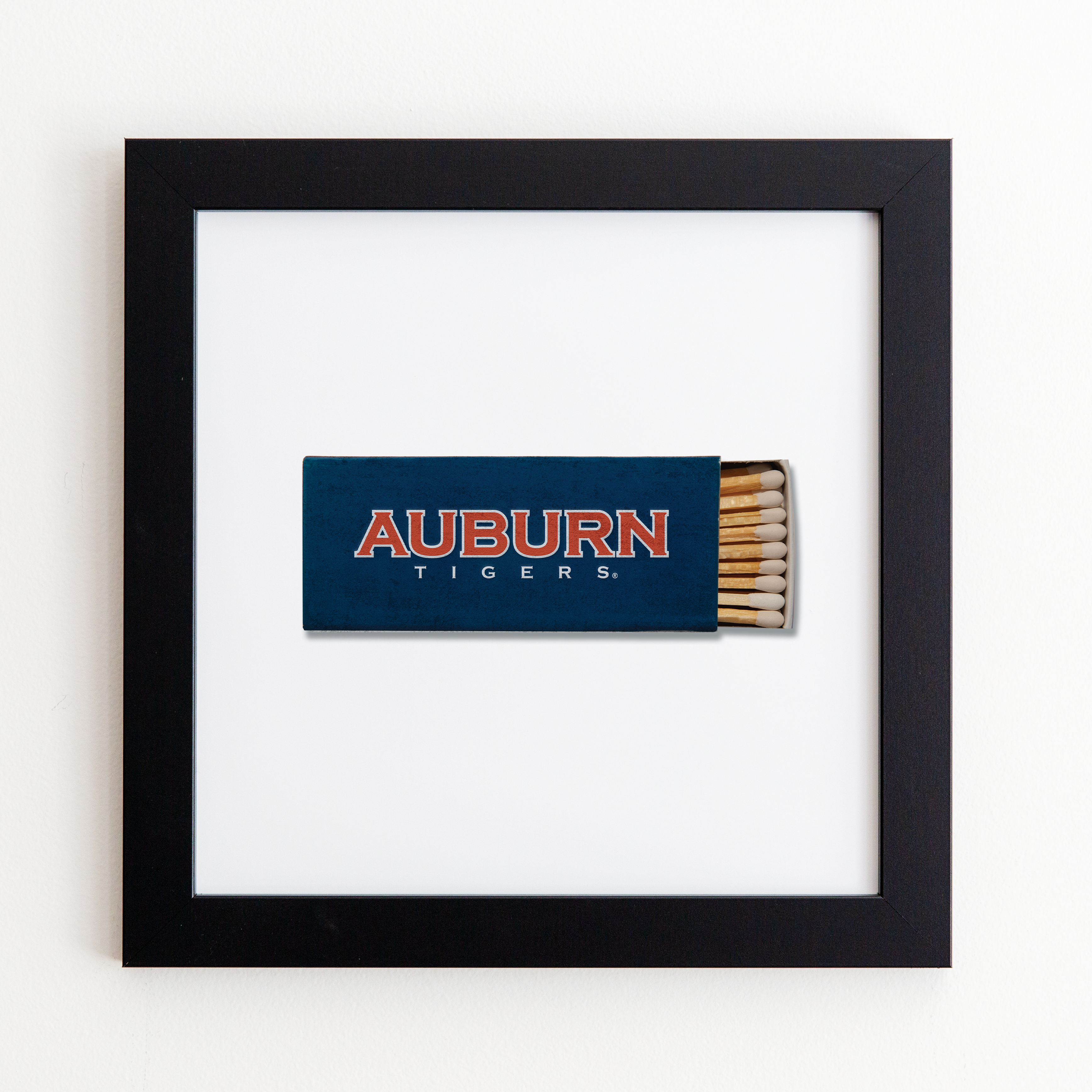 Auburn University Vol. 1