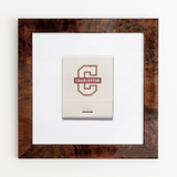 College of Charleston