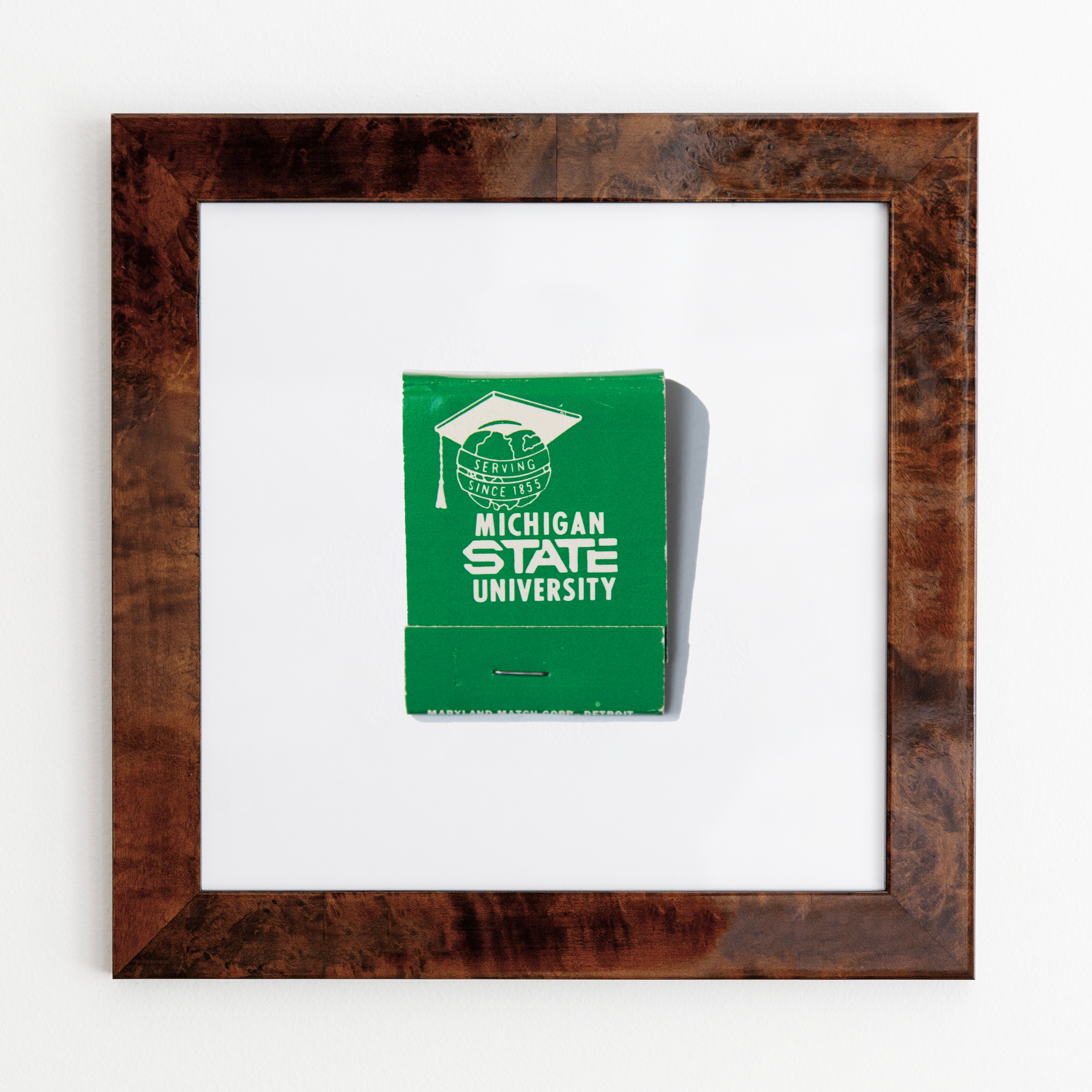 Michigan State University