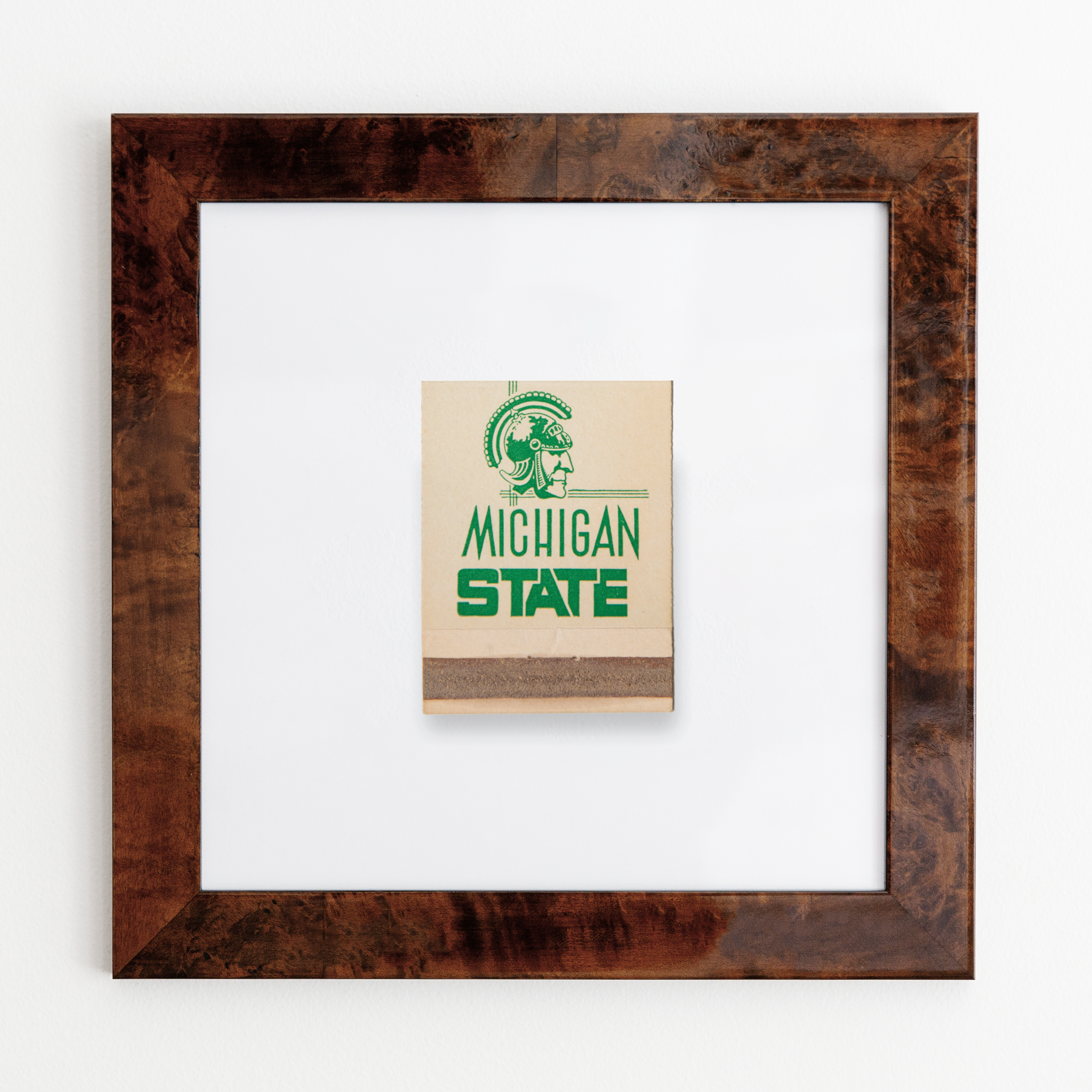 Michigan State University (Cream)