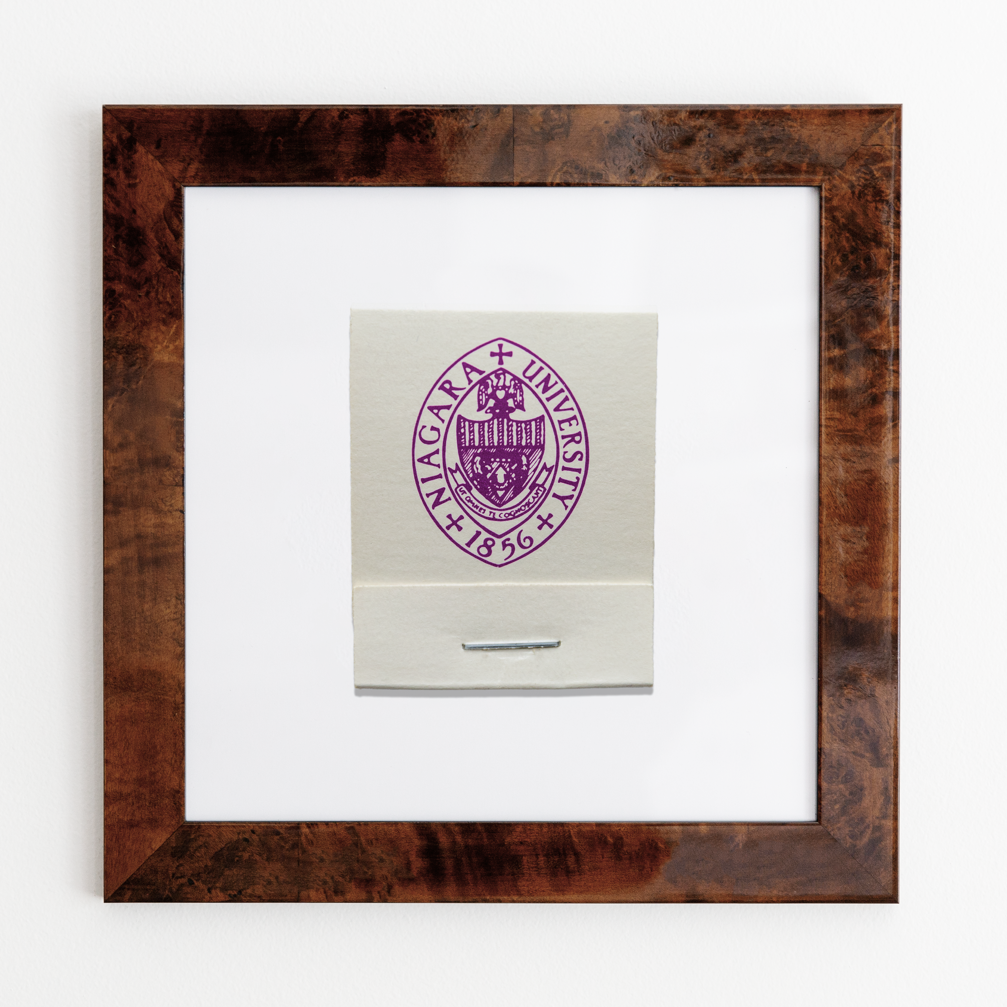 Niagara University 1856