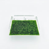 Playing Card Set with Putting Green Grass