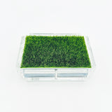 Playing Card Set with Putting Green Grass
