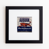 Auburn