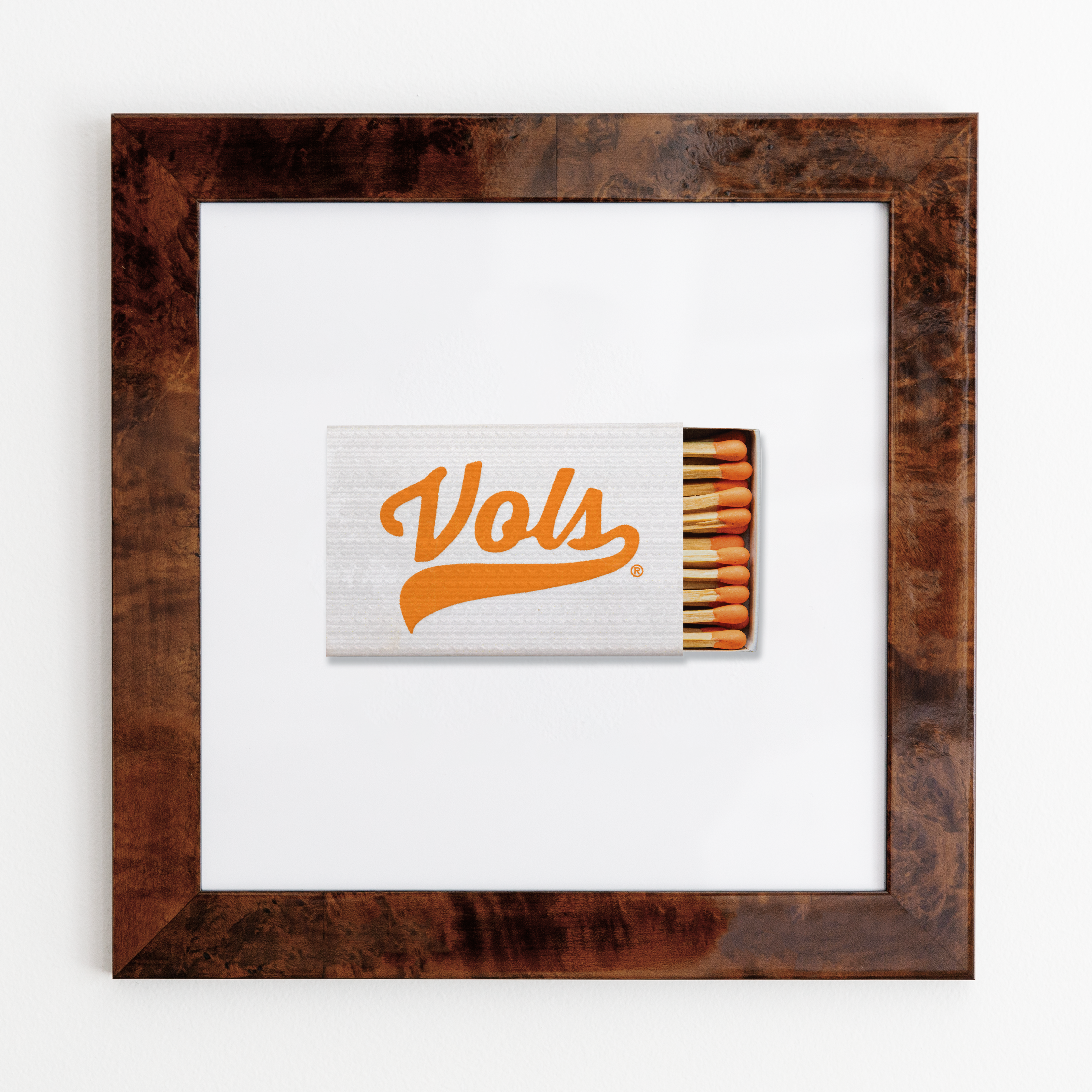 University of Tennessee Vol. 1