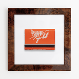 The University of Texas (Back)