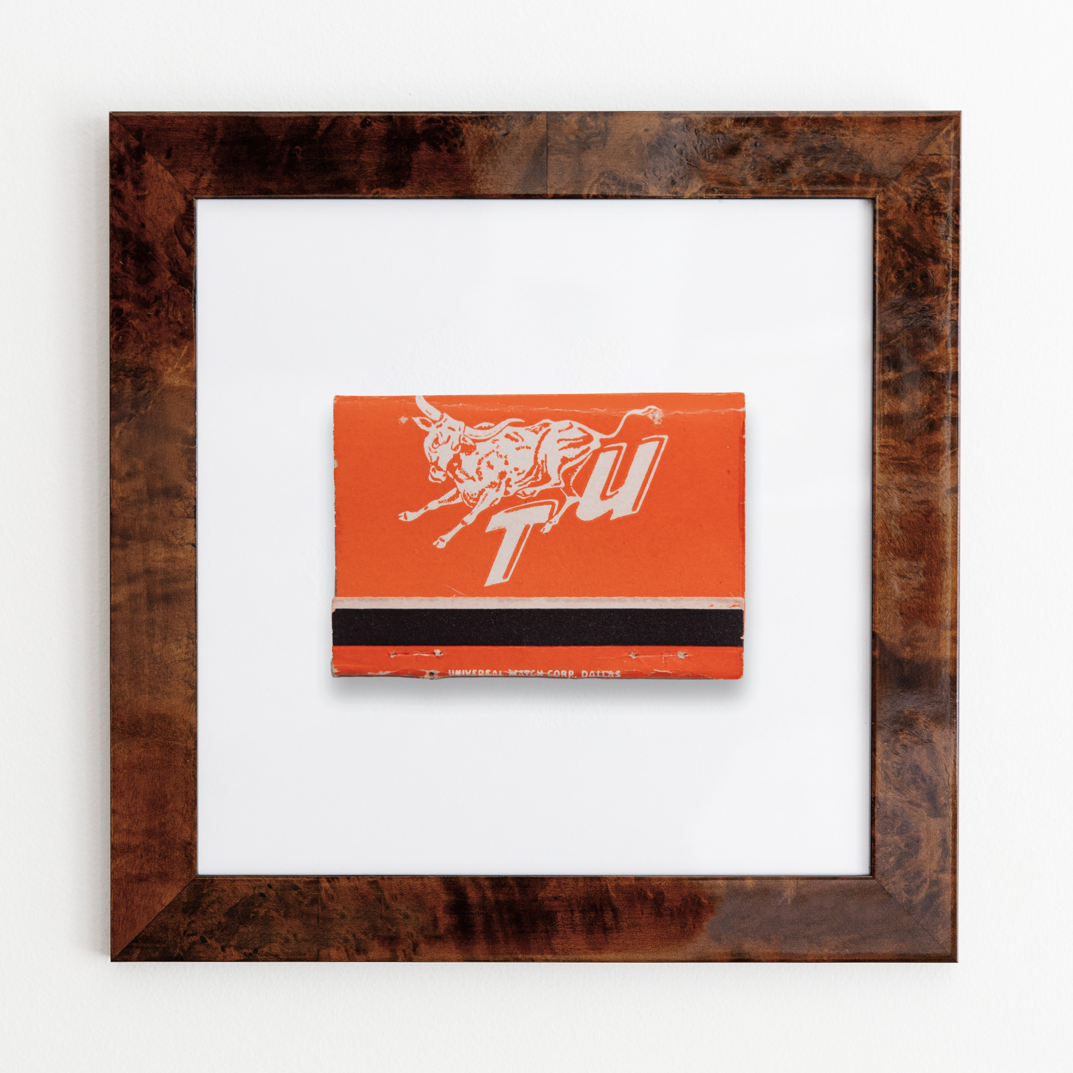 The University of Texas (Back)