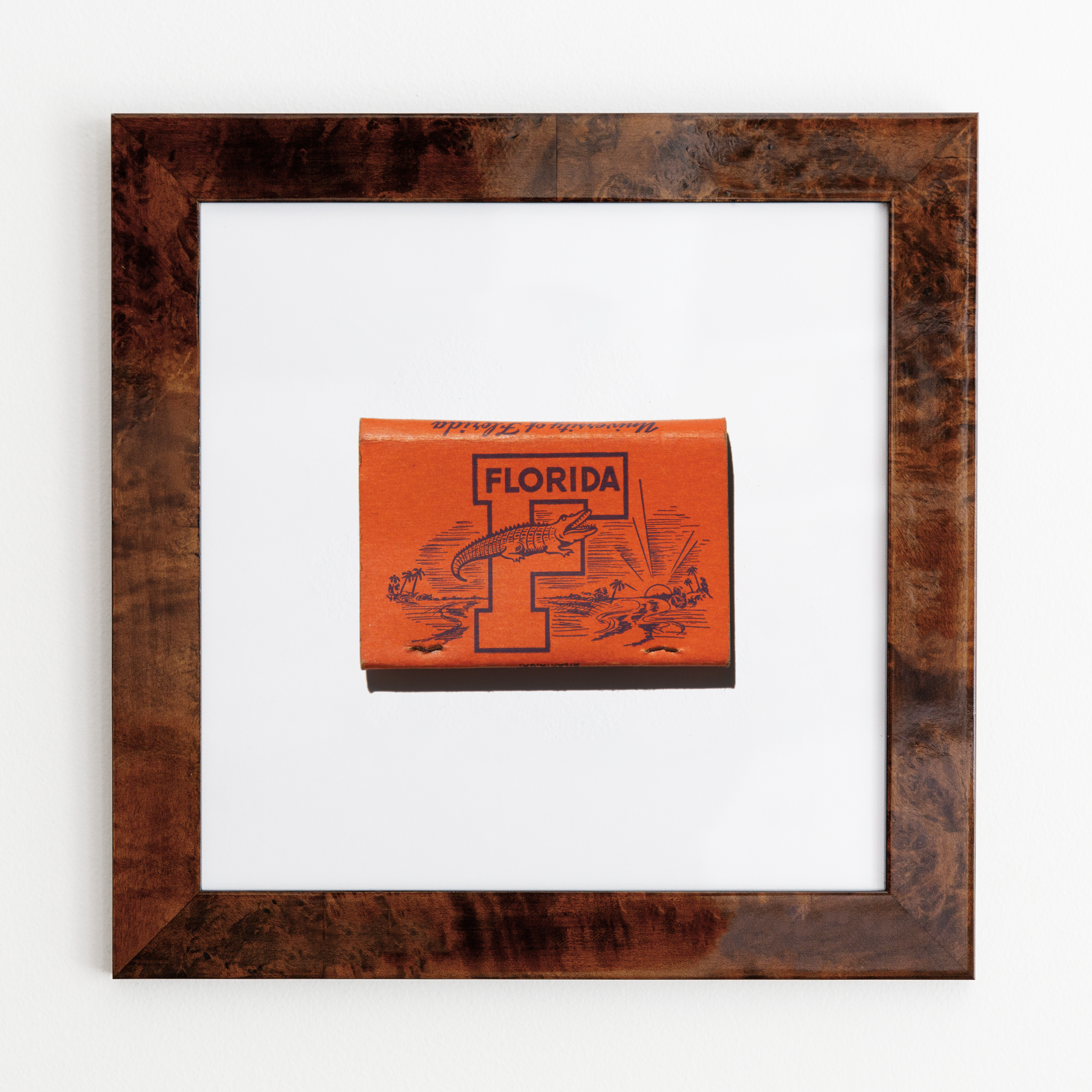 University of Florida (Back)