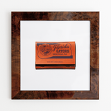 University of Florida (Front)