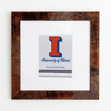 University of Illinois