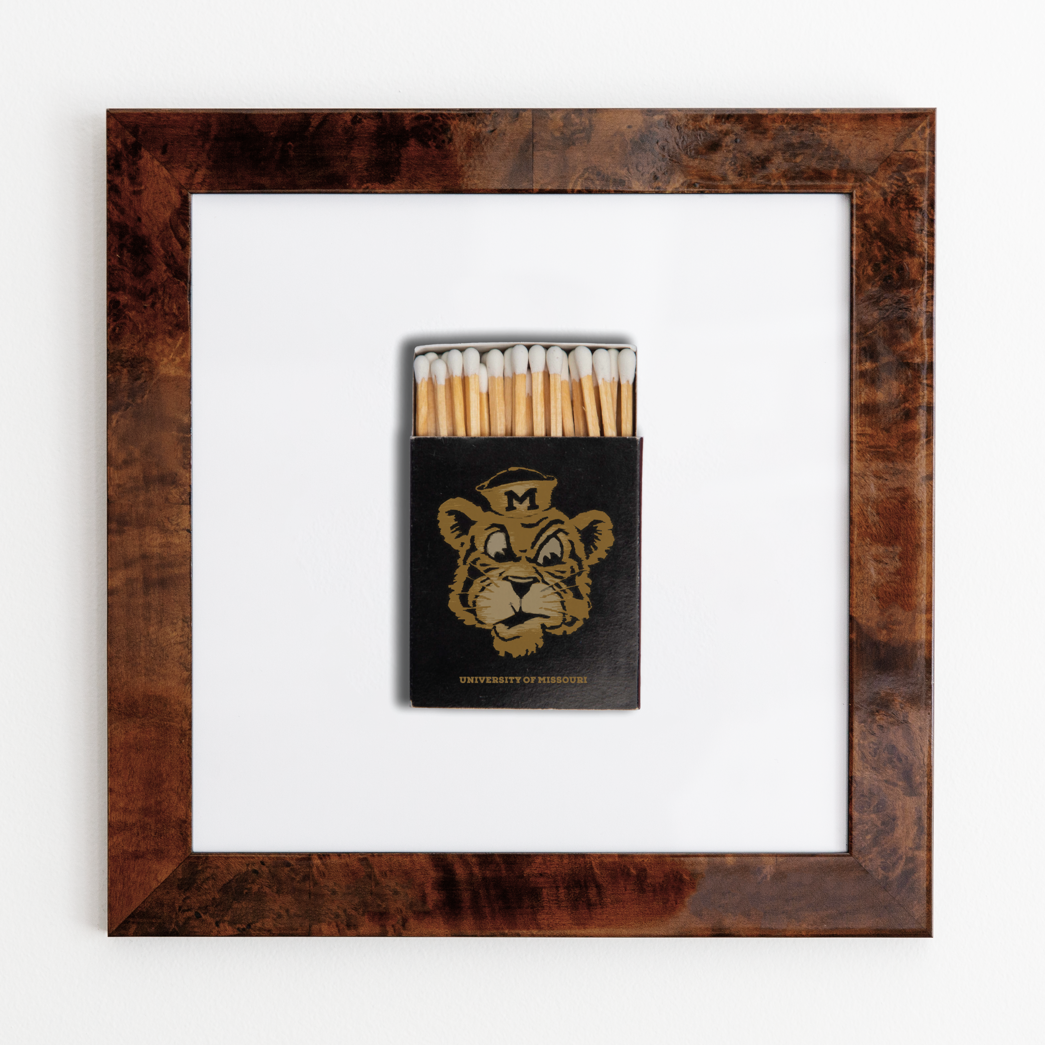 University of Missouri