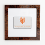 University of Tennessee (White)