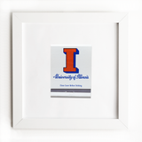 University of Illinois