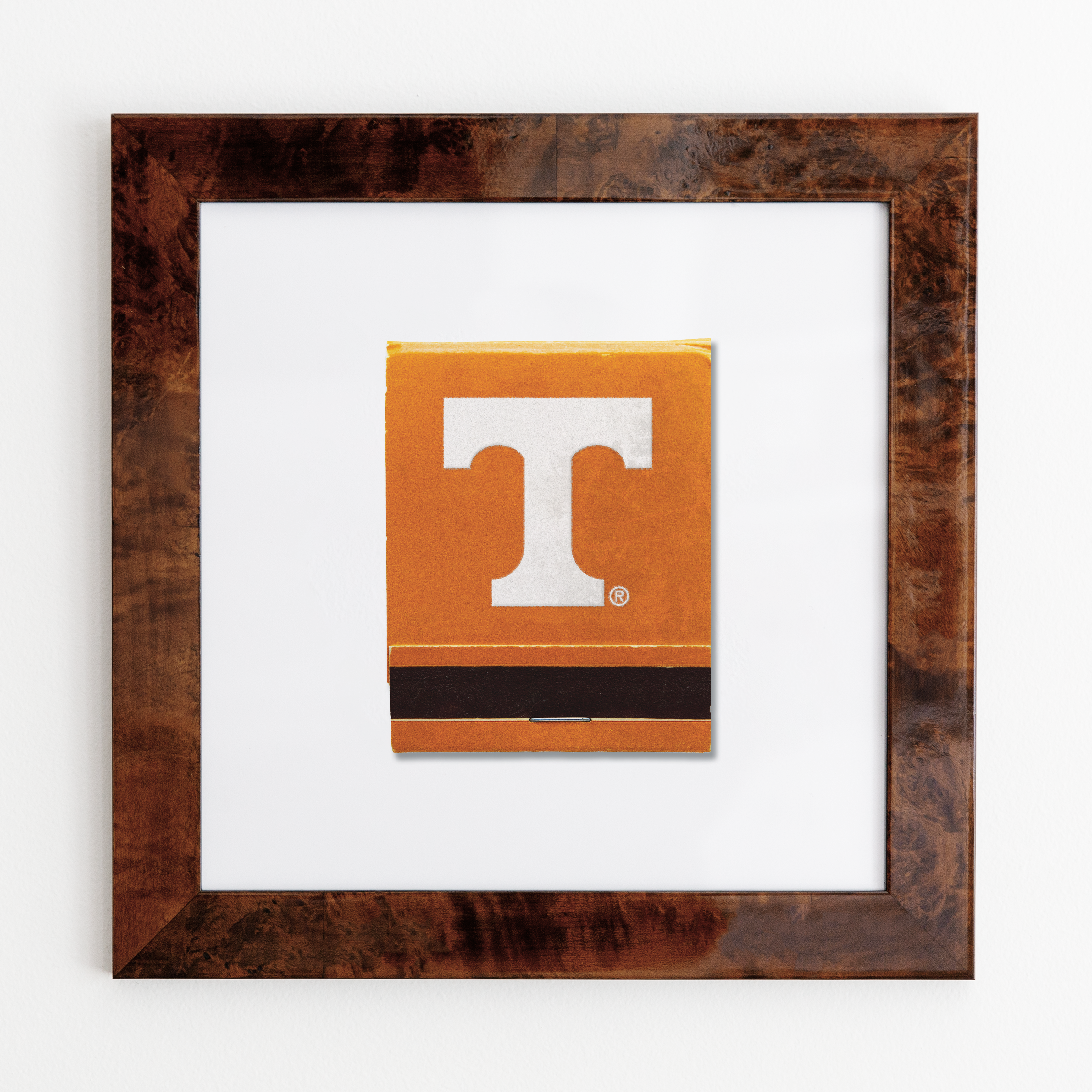 University of Tennessee Vol. 2