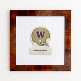 Washington Huskies