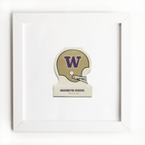 Washington Huskies