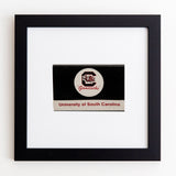 University of South Carolina