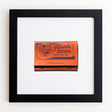 University of Florida (Front)