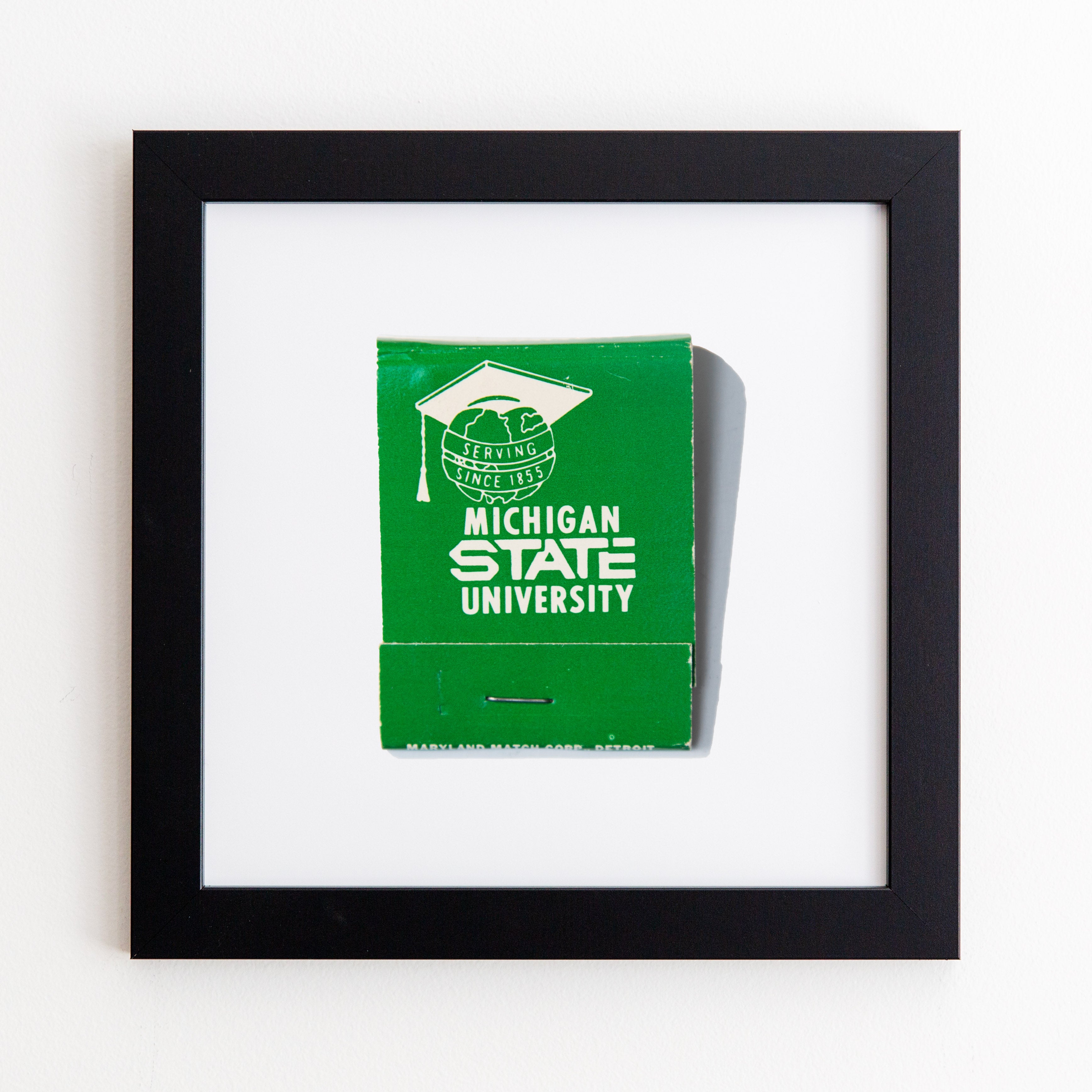 Michigan State University