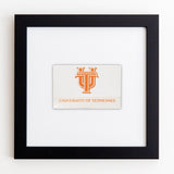 University of Tennessee (White)