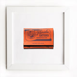 University of Florida (Front)